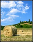 SummerII