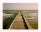 polaroid test