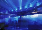 Into the Blu