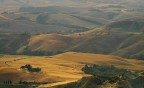 the golden hill