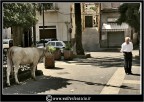 CERCASI TITOLO