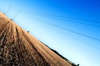 Il colore dei campi bruciato dal sole e dalle macchine,la tecnologia e la natura che si incontrano in accumoli di masse,dette balle...
