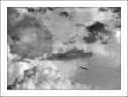 volando verso la libert