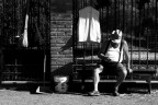 waiting...