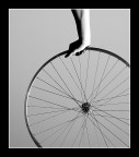 Linee di Niente