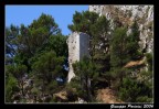 La torre tra i pini
