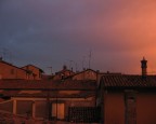 bologna