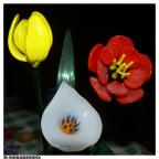 FIORI ETERNI