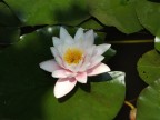 scattata con fujifilm finepix s3500