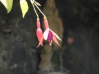 scattata con fujifilm finepix s3500