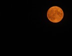 Model : NIKON D100
ExposureTime : 1/4Sec
FocalLength : 300,00(mm)
SubSecTimeDigitized : 10
FocalLength(35mm) : 450(mm)
ISO Setting : 1000