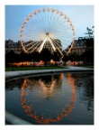 Ruota Panoramica!
