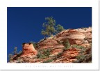 From Zion to Bryce