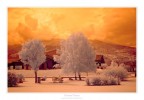 Ethereal Peace