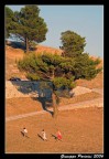 Il gigante ed i piccoli