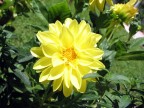 macro1