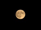 luna piena