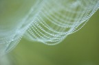 Collana di perle