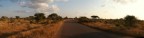 savana sudafricana