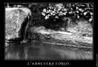 L'abbeveratoio