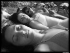 al sole