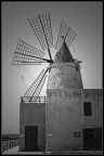 Mulino