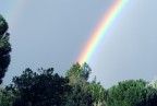 Foto rielaborata con PhotoShop 7
In particolare  stato rivisto il colore del cielo. Lo scatto risale a qualche mese fa ed  stato fatto con una Olympus C5050 Zoom