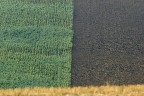 Confini