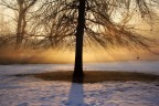 Una foto scattata al Parco Forlanini di Milano in una fredda mattina di febbraio '06