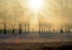 Una foto scattata al Parco Forlanini di Milano in una fredda mattina di febbraio '06.