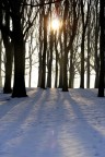Una foto scattata al Parco Forlanini di Milano in una fredda mattina di febbraio '06