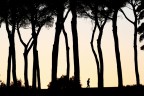 Silhouette
