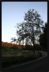 Villa Dora Pamphili