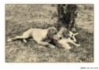 Madre e figlio