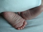Piccoli ma belli