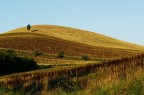 Campagna marchigiana