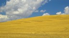 Nuvole in collina!