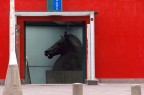 Scacchi metropolitani