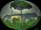 Era l'emblema della nostra citt.
Ora  solo circondato dal cemento armato.