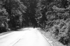 ...dalla strada di luce verso l'oscuro...