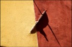 muro