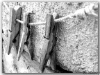 ..Insieme.. (2nd)