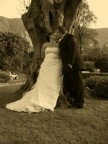 Mia sorella sposa...