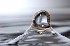 prova macro
