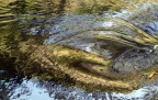 Acqua e Luce
