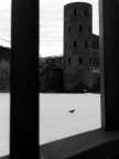 Nikon Coolpix 5400, non mia...