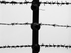 Mauthausen.... per non dimanticare