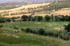 Il Trattore