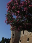 Gradara