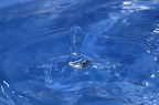 goccia blu 2
